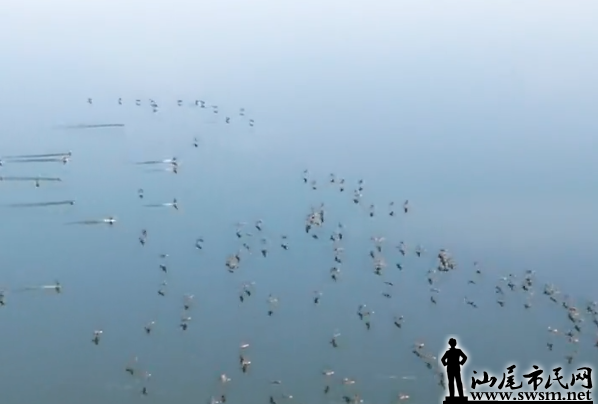 ͼ20211220171658.png