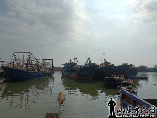 IMG_20220120_145335.jpg