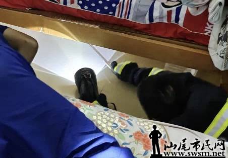 F717A257-7F03-4F8C-98CF-3A8F0289D4B6.jpeg