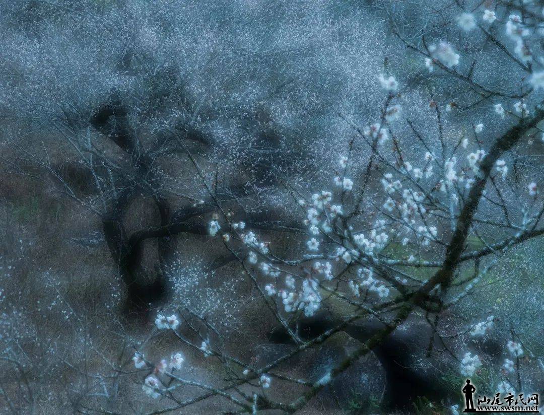 ΢ͼƬ_20221202113826.jpg