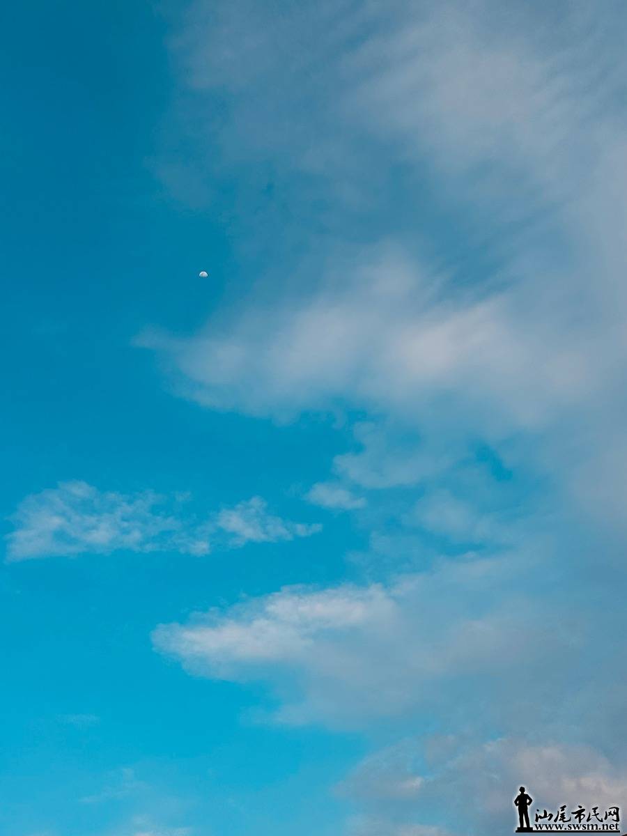 IMG_6039.jpeg