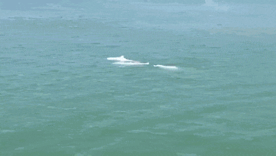 640.gif