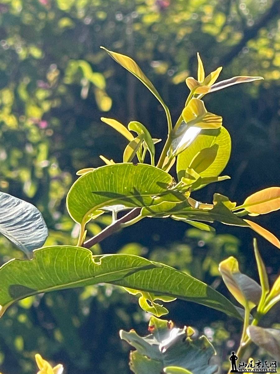IMG_8019.jpeg