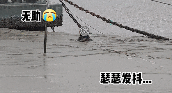 bd8338972bab44b5944ff1a58742dba8.gif
