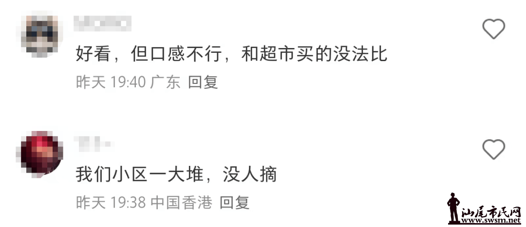 96755a28c27e4bcaa5ff5d2f9b82773f.png
