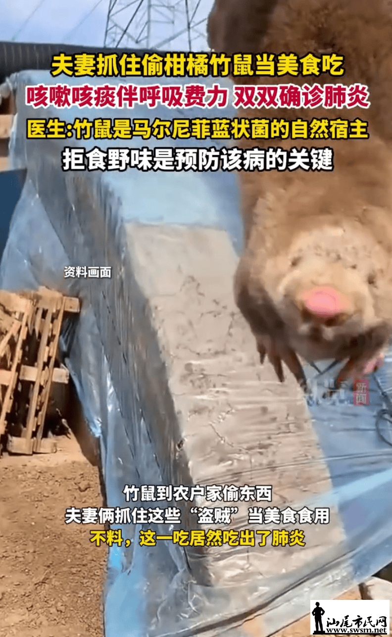 9ca2aa3473e44c578aeb5df7c4f81dd1.png