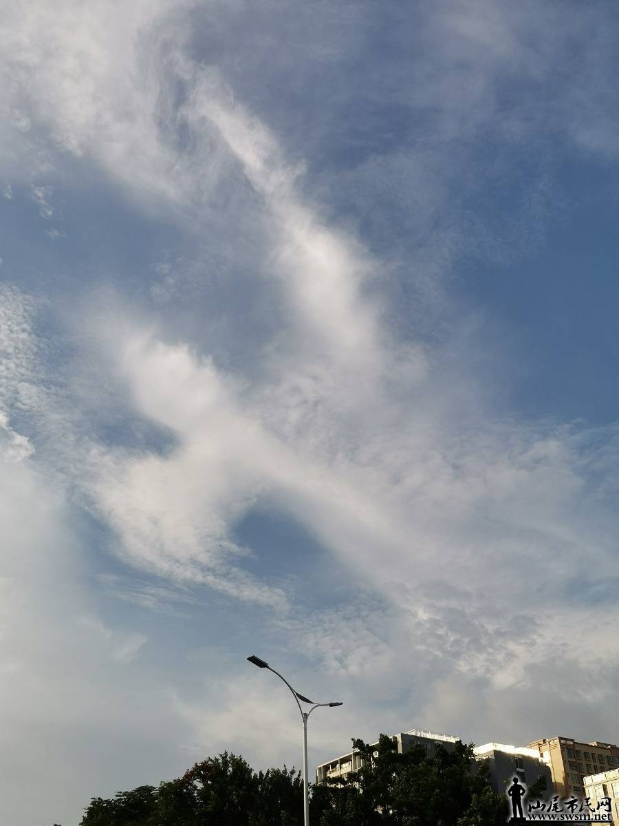 IMG_20250723_175918.jpg
