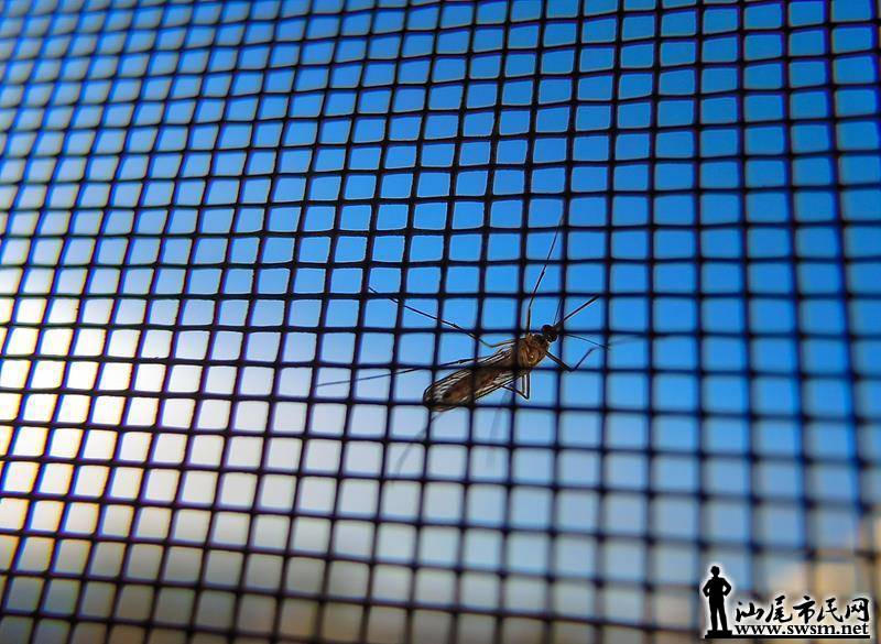 b75fa1bee7cf48c3a0c7db071a4d076b.jpeg