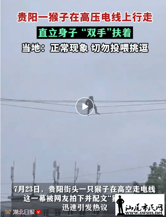 478292c533ad4fda837bb16344c9778a.png
