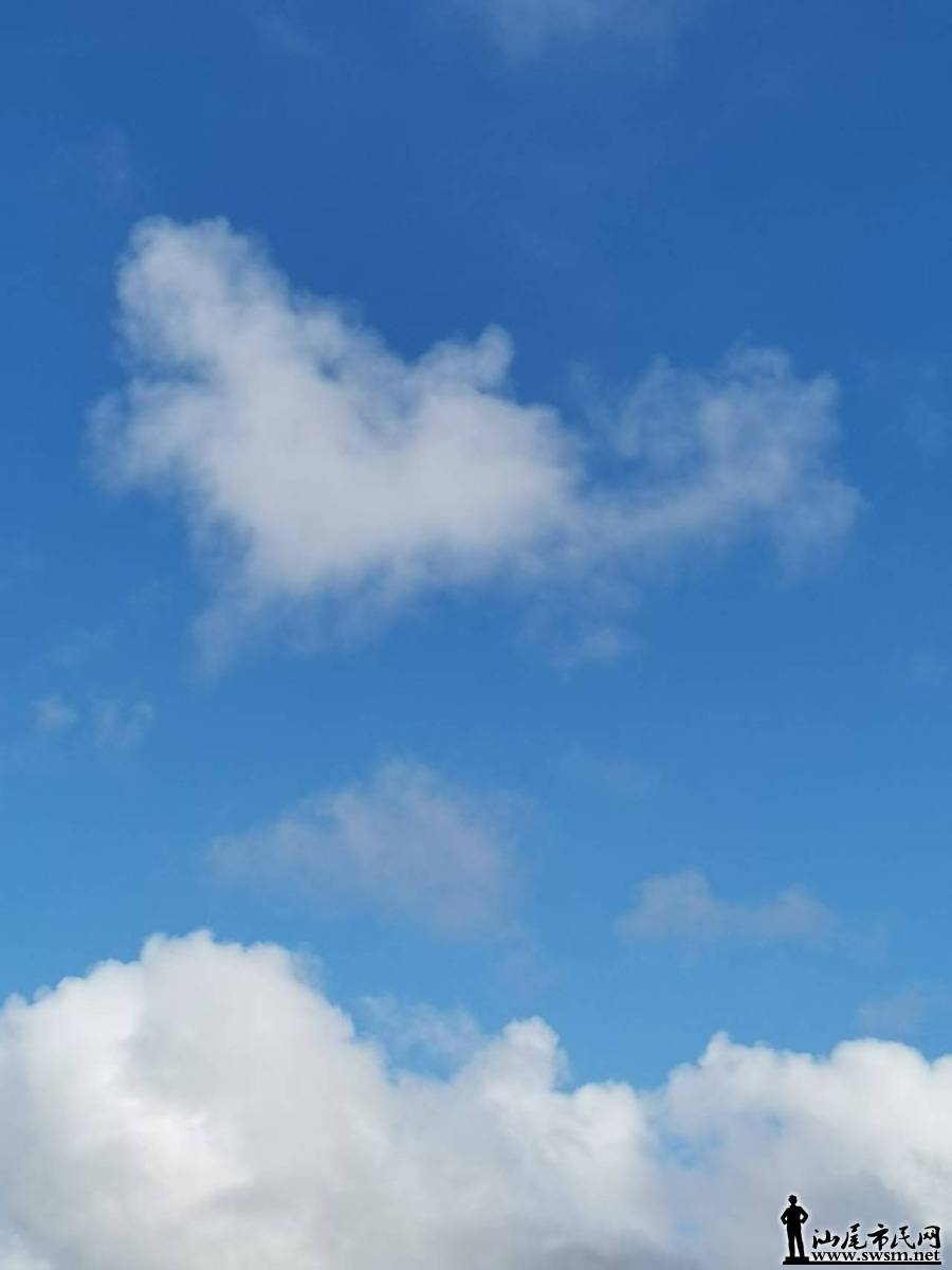 mmexport1753977533339.jpg