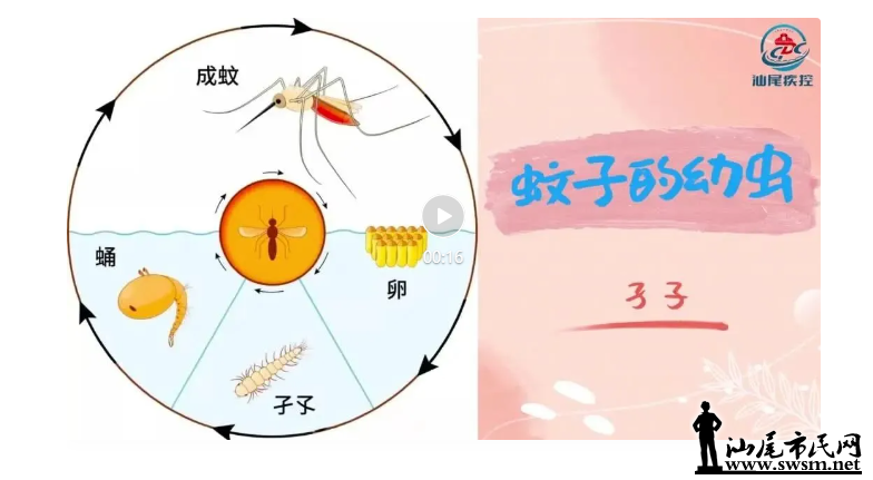 wechat_2025-08-10_095514_448.png