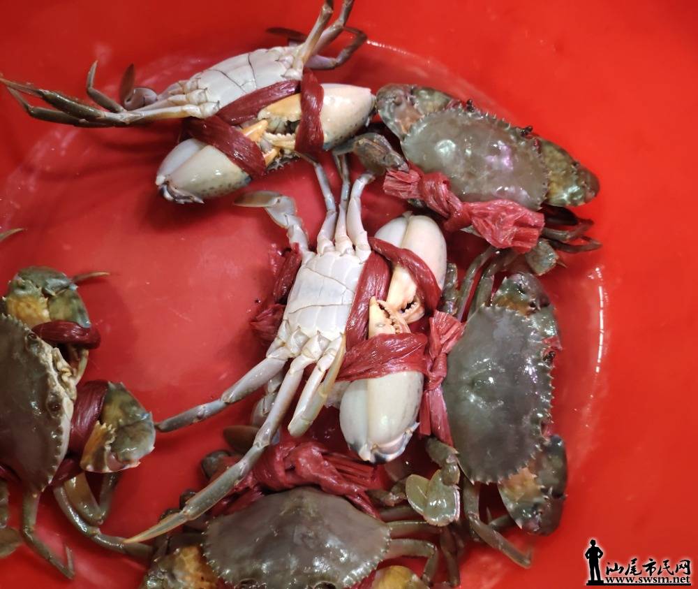 β漾һٺʴ