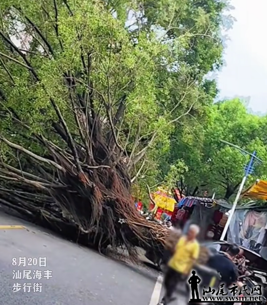 wechat_2025-08-21_094107_946.png