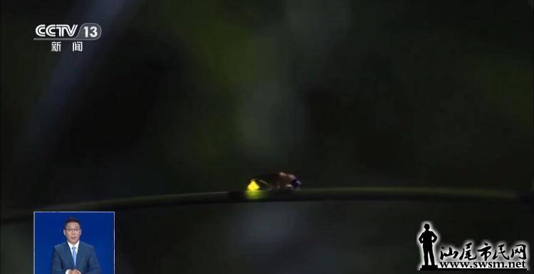 ad672ab07bd3482c9ae21095cf56a171.jpeg