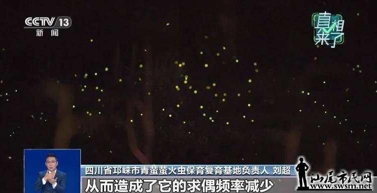 fe3814cb70e6412cb38875eeb4ec0892.jpeg