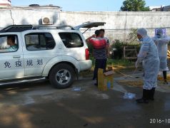 海丰县鲘门镇台风“海马”过后的预防免疫工作