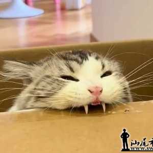 �ҵ����