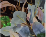 Ů�ӳ�������Ƶ���ס��5�췢�ַ�����������ͷ ��ҳƷ��ڲ���Ա���ã������ѽ���...