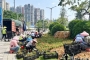 ��β�������������нڵ㾰��ӭ��˫�ڡ�