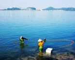 ��β�ҳ�����Ԥ����ˮ������ʱ��������Ҫ��ʲô