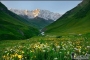 ����β�ƽ�ѧ�������ı�Ҫ���������