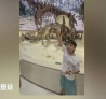 ����7��С�������Ȼ����ݣ�һ��ָ���������󣬹ٷ���ҹ����