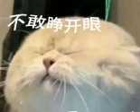 ���籭����������ҲҪ�غá�������
