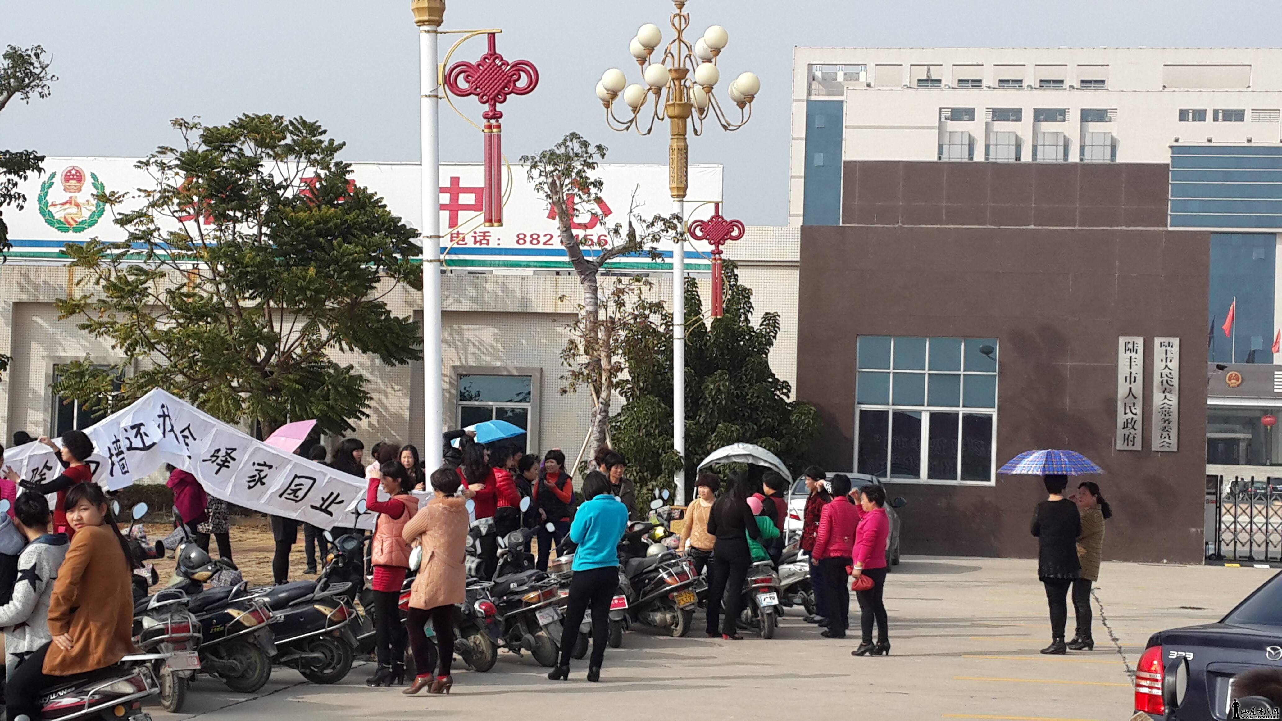 �����԰����ҵ����������άȨ·