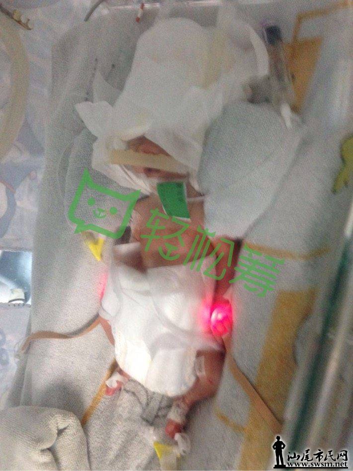 14647051383572eb5bff.png@!love (1).png