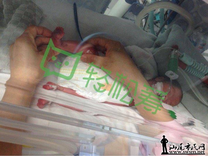 146470513831975bcdf5.png@!love (1).png