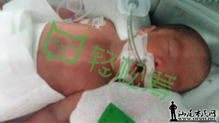 1464705138276288ec37.png@!love (1).png