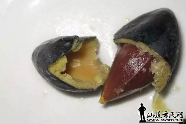 【汕尾美食记】榄豉