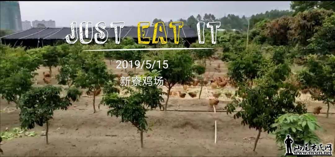 wechat_upload15579335165cdc2dcc7a8ab