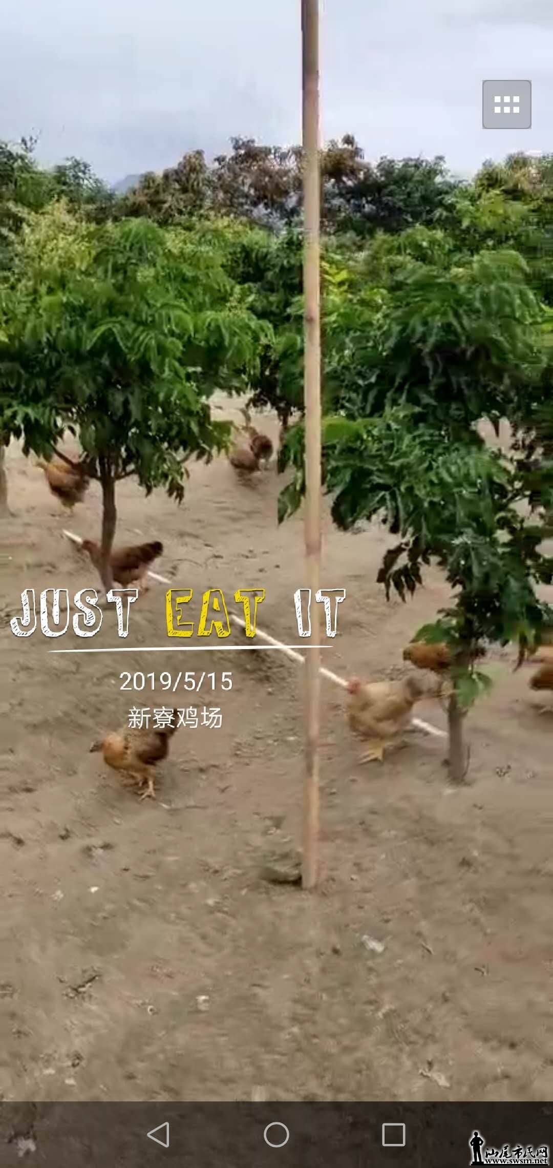 wechat_upload15579335165cdc2dcce2295