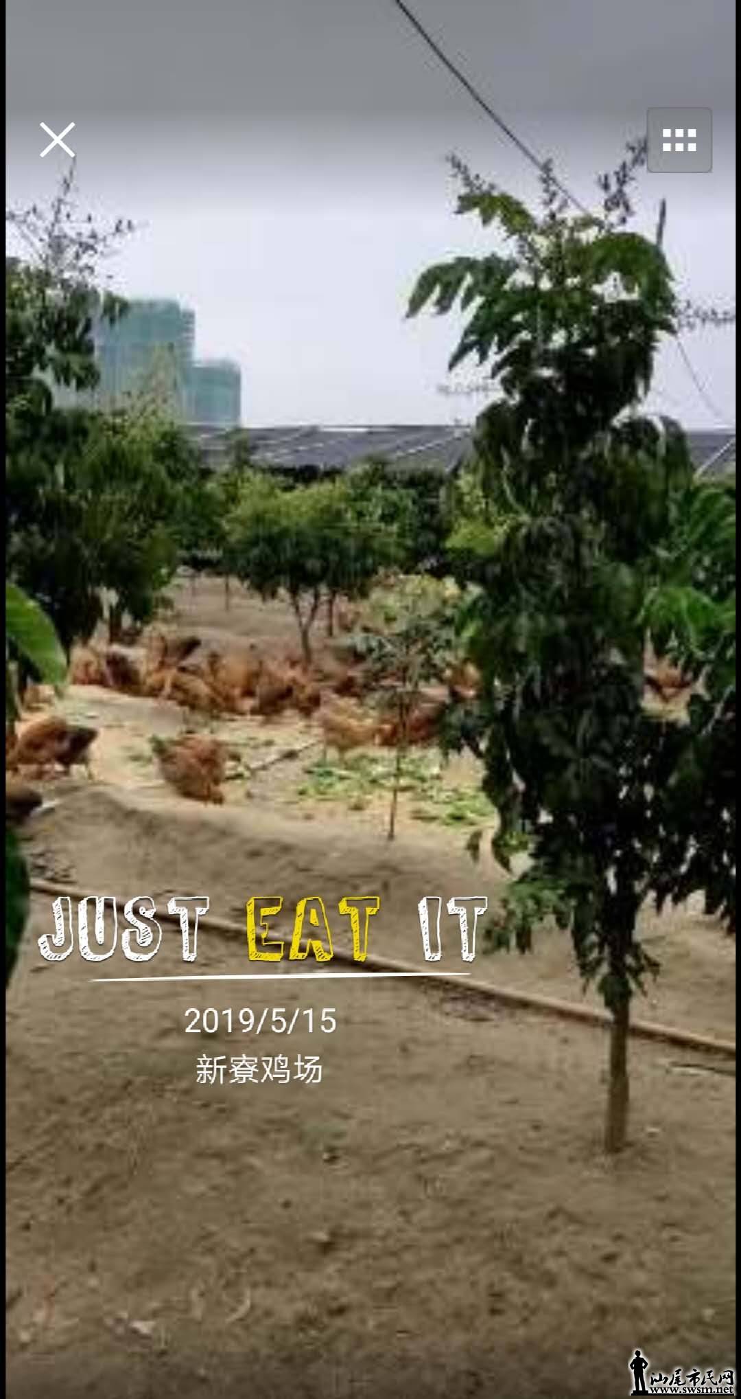 wechat_upload15579335165cdc2dcca77be