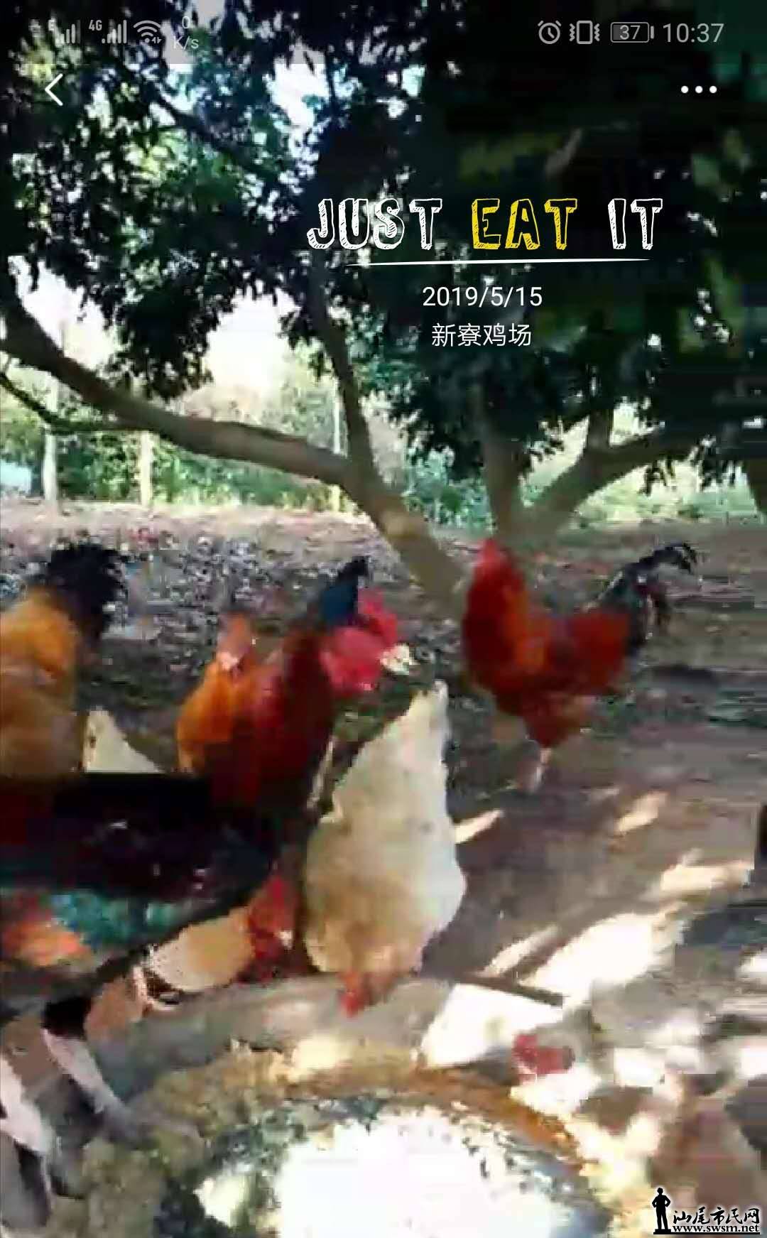 wechat_upload15579335175cdc2dcd25b32