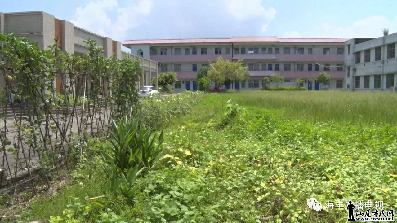 wechat_upload15636342495d332a4918145