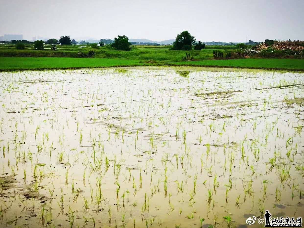 wechat_upload15659739685d56ddd0b08bc