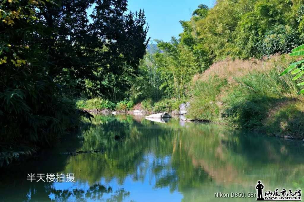 wechat_upload15747286945ddc73f656333