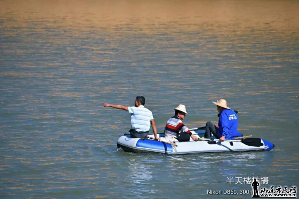 wechat_upload15747286955ddc73f70853f