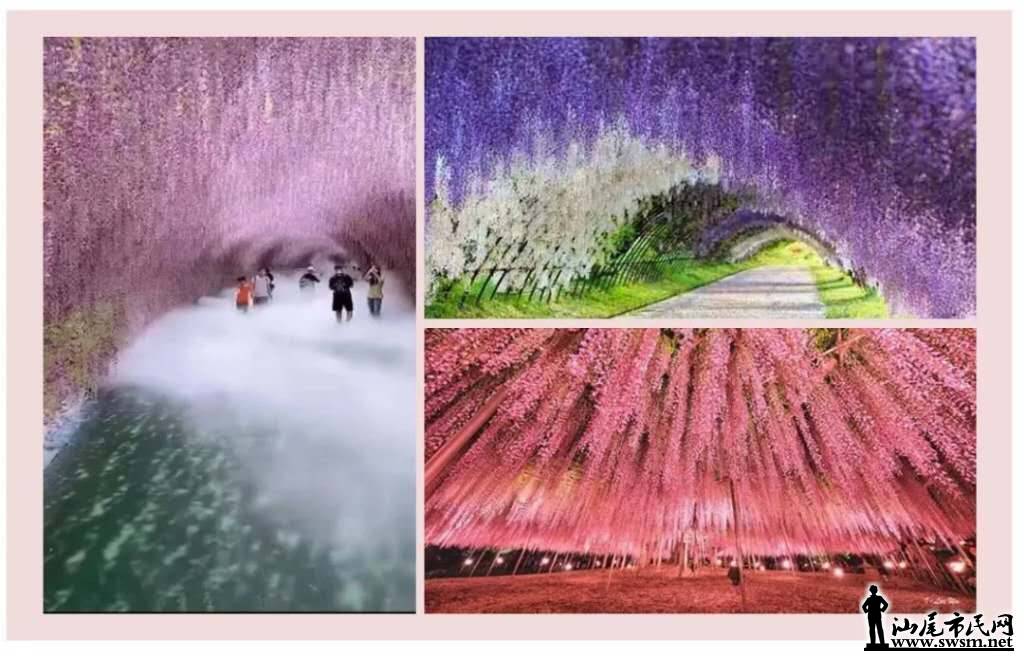 wechat_upload15772487885e02e81400c0d