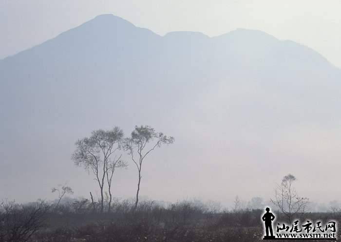 wechat_upload15814028485e424ae0c302e