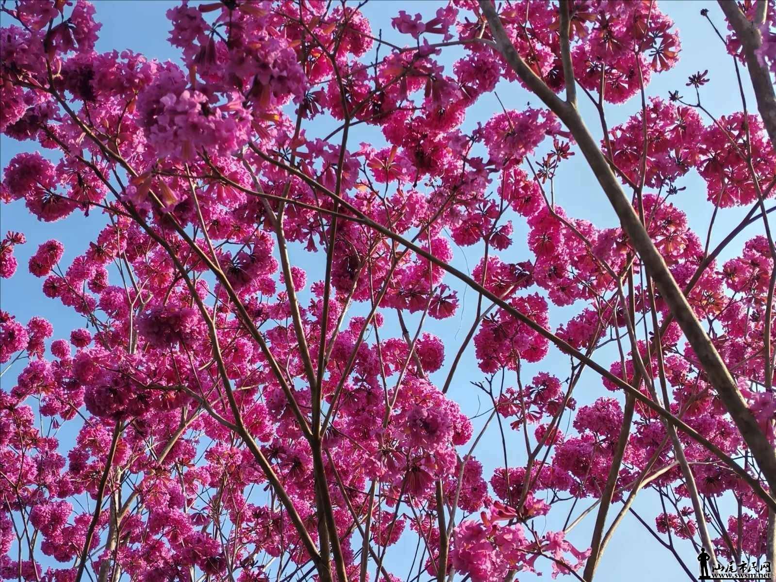 ͼƬѹ�� (4).jpeg