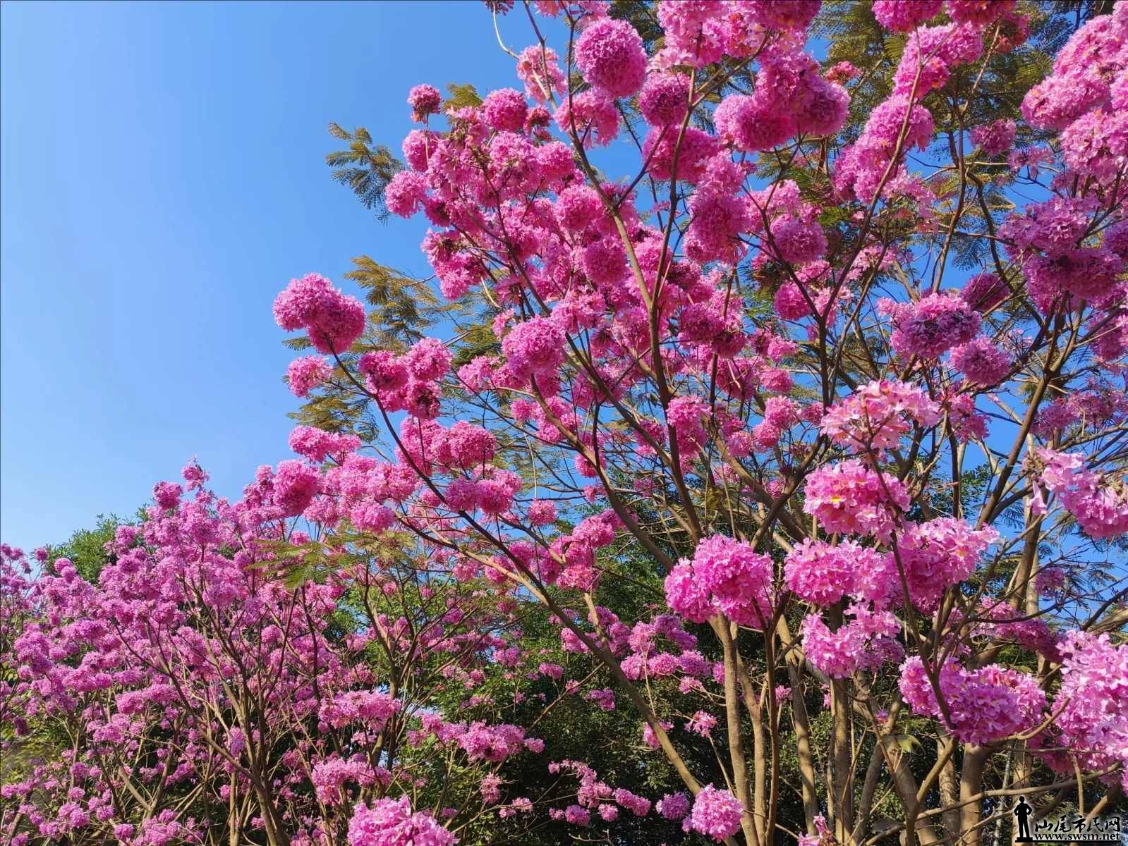 ͼƬѹ�� (5).jpeg