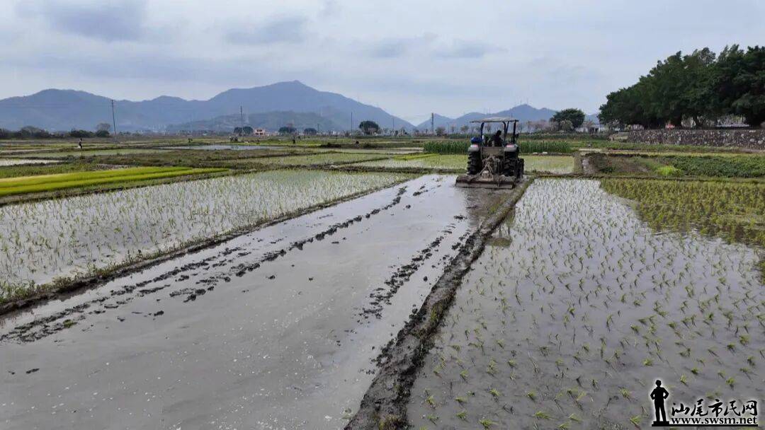 �����絾�������ȳ����� ��Ұ���̻�ͷ���ϣ��