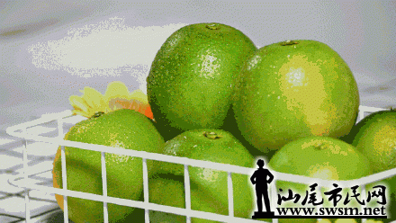 03c517d78074436c8e77a6376bc3b8a9.gif
