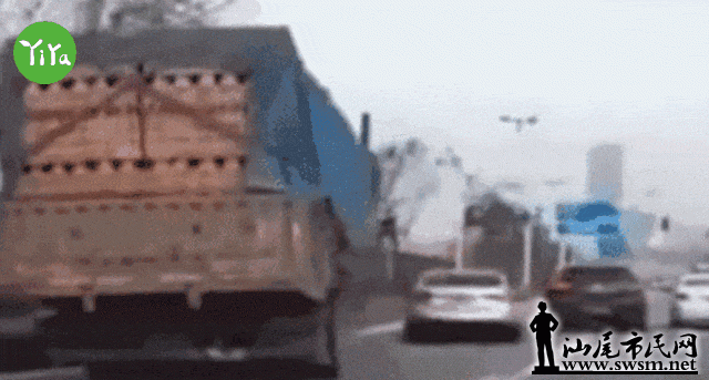 7.gif