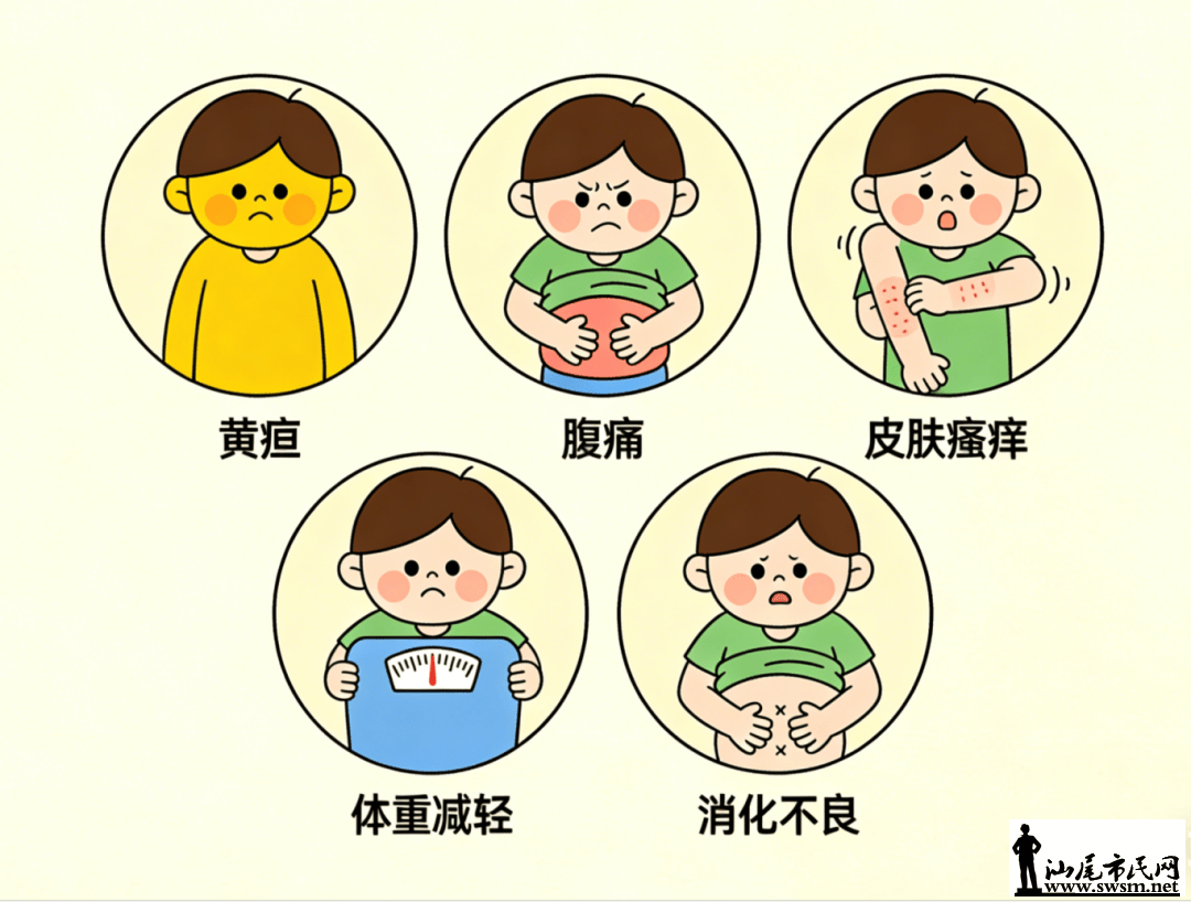 c96b7a11dd554adfa7cb7dfce59e121d.png