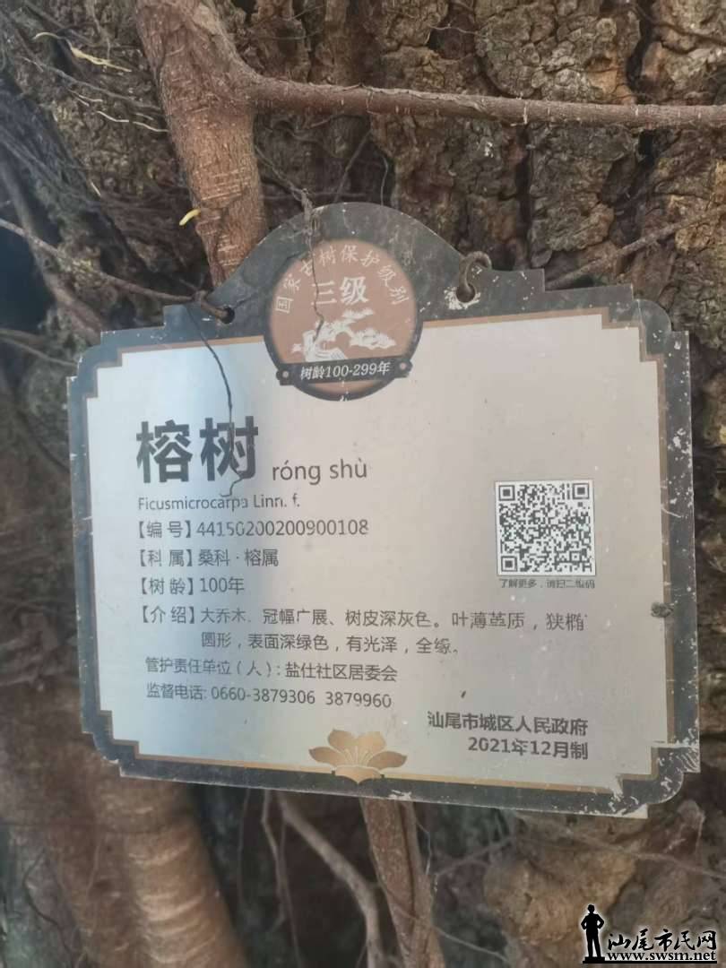 mmexport1782480393911.jpg
