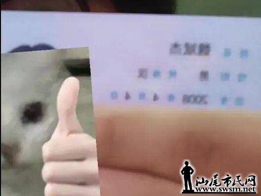 7a5c78bd80b7403fa648b291b62f5d50.jpeg